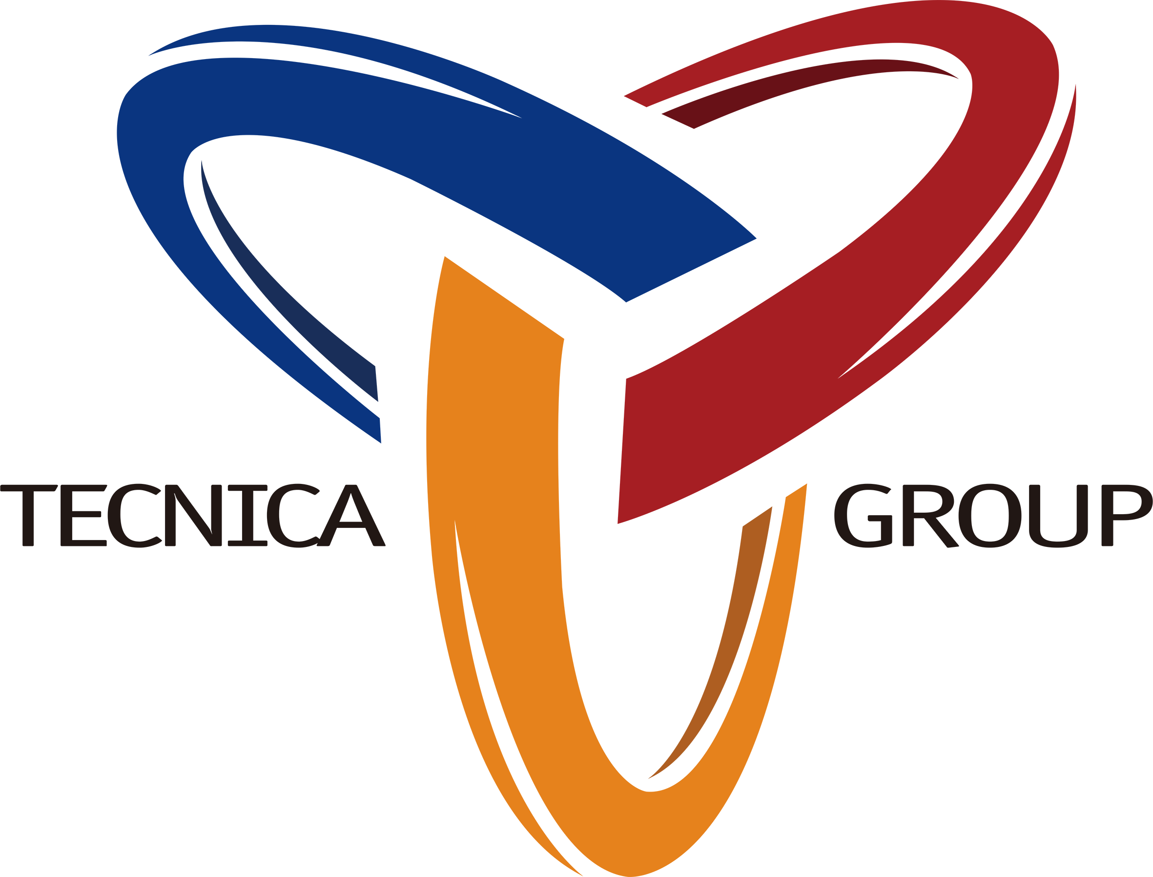 logo_tecnica